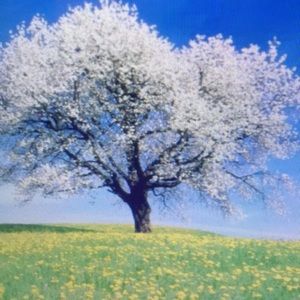 Meet your Posher, Monique